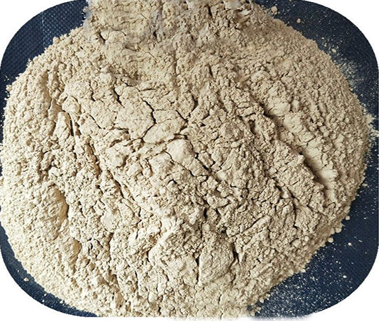 ���X���I���X�\��������|����|���σr����S�҈D