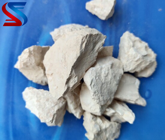 ���X�\�����Ϲ��σr��S�҈D