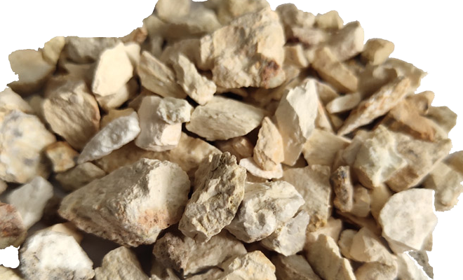 ���X�\�����Ϲ��ϏS��