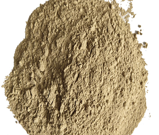 ���X�\������|���X���ۏS��