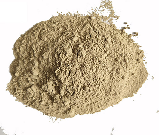 �X�\������|�X������|���X�ǿ�|���ۃr��|�S��