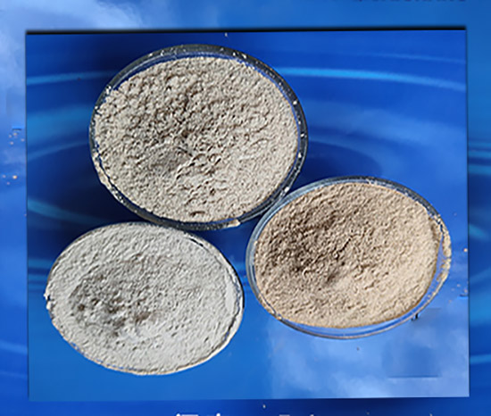 �X�\������|�X����(x��)��|���X�ǿ�|��(x��)������չʾ